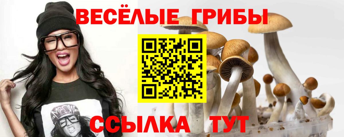 Псилоцибиновые грибы Psilocybine cubensis  Вход с VPN  Бор 